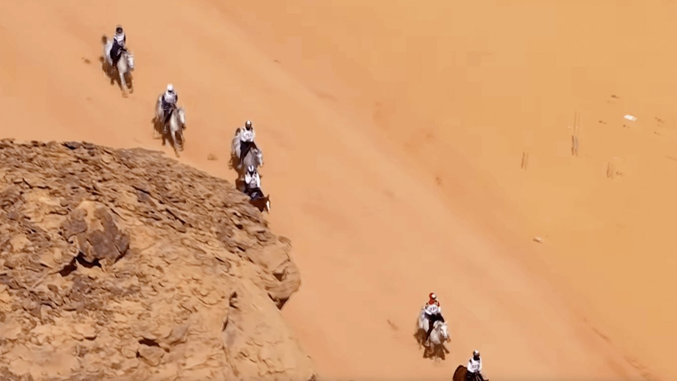 Alfursan_Endurance_Alula